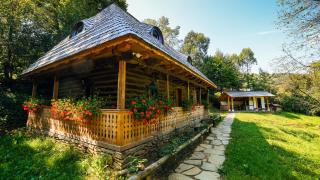 Casa lu' Ion - Vişeu de Sus - 0