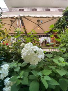 Hotel Palavas - Villar Pellice - 3