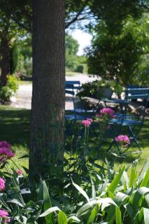 Mas Nina Rosa - Mazan - 3