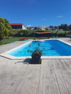 Cargal leiria - Leiria - 9