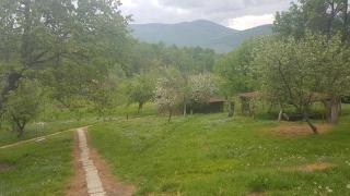 Camping Zamolxe - Sarmizegetusa - 2