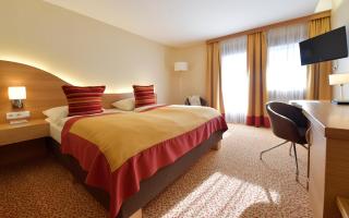 Seehotel Rust - 7