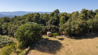 Domaine Les Perpetus - La Tour-dʼAigues - 7