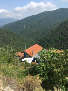 Rural house - Vignai - 9
