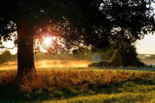Pontlands Park Hotel - Chelmsford - 6