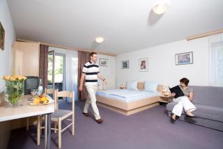 Sonnenhotel Bayerischer Hof - All Inklusive Angebote verfügbar - Waldmünchen - 7
