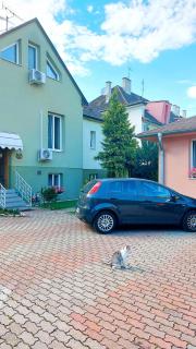 Penzión Tiberia - Trenčín - 9