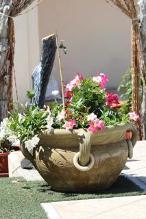 Villa delle Rose - Boscotrecase - 4