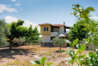 Karavos Grove - Káto Lekhónia - 9