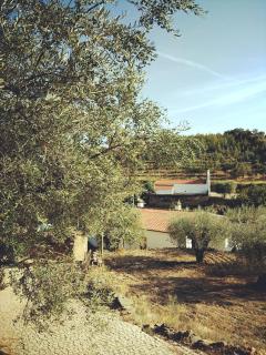 Casa de Pimenteis - Vimioso - 9
