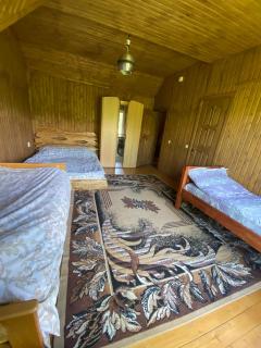 Eco Resort Nad Karpatamy - Hrobyshche - 2
