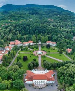 Apartman Breza - Апартман Бреза - Banja Koviljača - 9