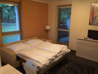Apartman Harrachov - Harrachov - 7