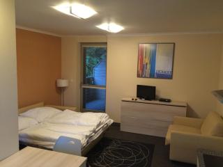 Apartman Harrachov - Harrachov - 9