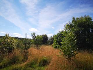 Nature Monchy - Campneuseville - 6