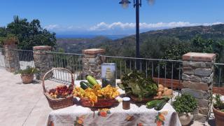 Agriturismo Gli Antichi Sapori - con stazione di ricarica veicoli elettrici - Vatolla - 0