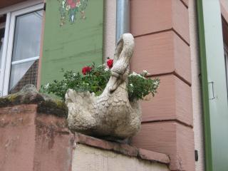 Au Cygne - Hoerdt - 6
