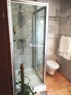 Hotel Phoenix - Sesvete - 5