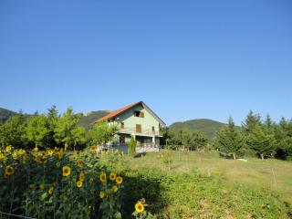 Green House - 0