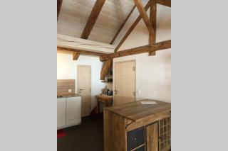 Loft 100m2, im Ökohaus in Susch - Susch - 1
