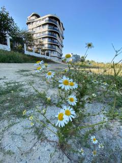 Apartament Somnila, Mamaia Nord - 0