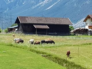 B&B Margit's Ranch Urlaub am Pferdehof - 5