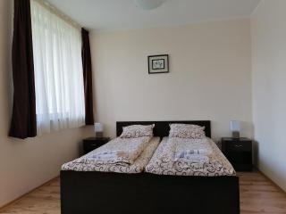 Borovets Gardens Studio D36 - Borovets - 9