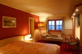 Wellnesshotel Seeschlößchen - Privat- Spa & Naturresort - Senftenberg - 9