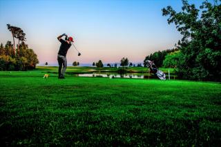 OG's Golf Lodge - Kematen an der Krems - 8