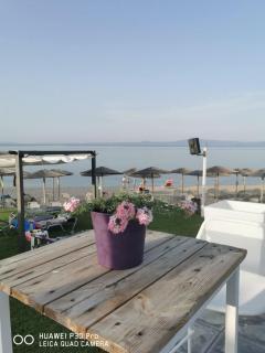Al Mare - Polykhrono - 4
