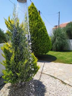 Sunny Villa - 2