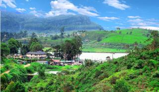 Gregory Hills - Nuwara Eliya - 1
