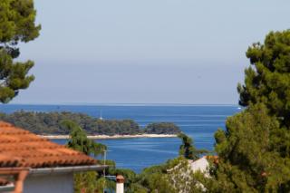 Studio Apartman Nega 1 - Rovinj - 0