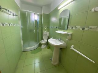 Iorga's House - 1