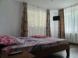 Pensiunea Ovidiu - Beclean - 5