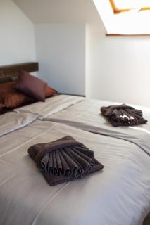 Apartmány VÍNO HRUŠKA Pardubice - Pardubice - 1