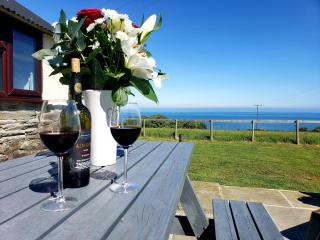 Byre Cottages & Log Cabin - Cardigan - 9