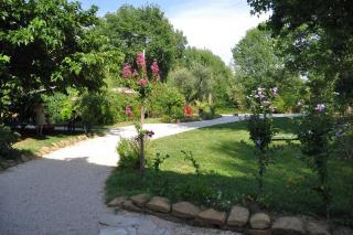 casa dei ciliegi Appartamento primo piano con spazio verde esclusivo - 7