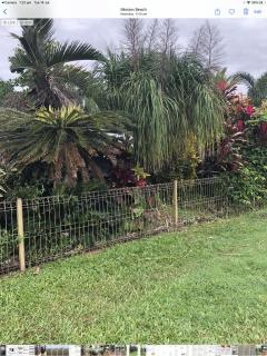 Royal Palm Cottage, Entire two bedroom 2 bathroom house with Pool - Mission Beach - 6