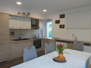 Divača, Vila Srebrna - 7