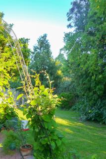 Biburg86420 - Biburg - 8