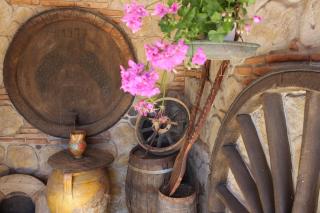 B&B La Vigna - Lamezia Terme - 8