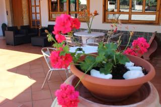 B&B La Vigna - Lamezia Terme - 9