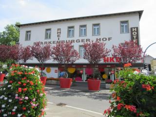 Rheinhotel Starkenburger Hof - Bingen am Rhein - 0