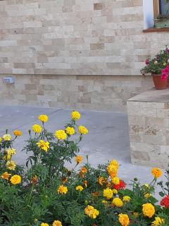 VILA IRINA - Mangalia - 7