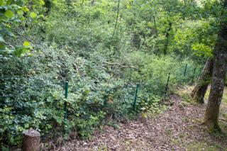 CHALET MAAIKE - Durbuy - 2