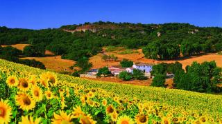 Hotel Cortijo Las Piletas - 8