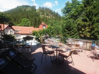 Pension Waldschlösschen - Friedrichroda - 5