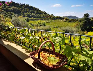 La Tinaia Country House - 0