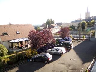Lenard Charles Bed & Breakfast - Juvigny-sous-Andaine - 5